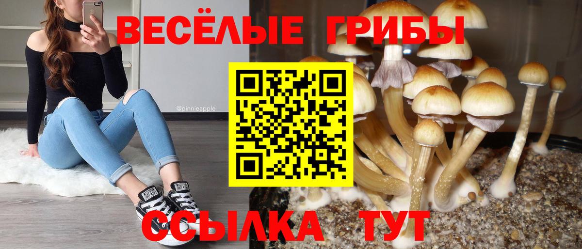 Галлюциногенные грибы Psilocybe  Псилоцибиновые грибы MAGIC MUSHROOMS  Вход с VPN  Аксай 